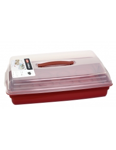 CLOCHE A GATEAUX RECTANGULAIRE GM