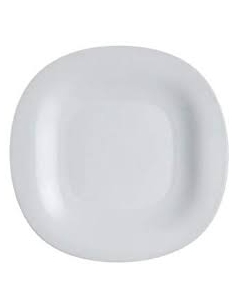 CARINE GRANIT ASSIETTE PLATE 27