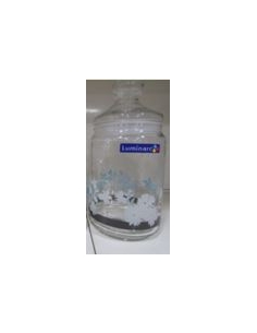 FOLIAGE POT 1L