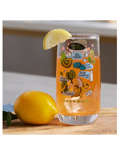 VIGNE SMOOTHIE RECIPES FH 35 CL