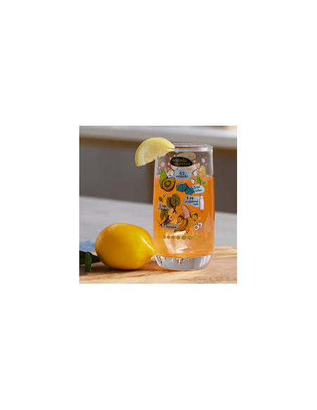 VIGNE SMOOTHIE RECIPES FH 35 CL