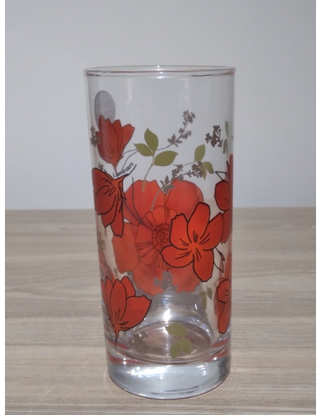 AMELIA VERRE FH